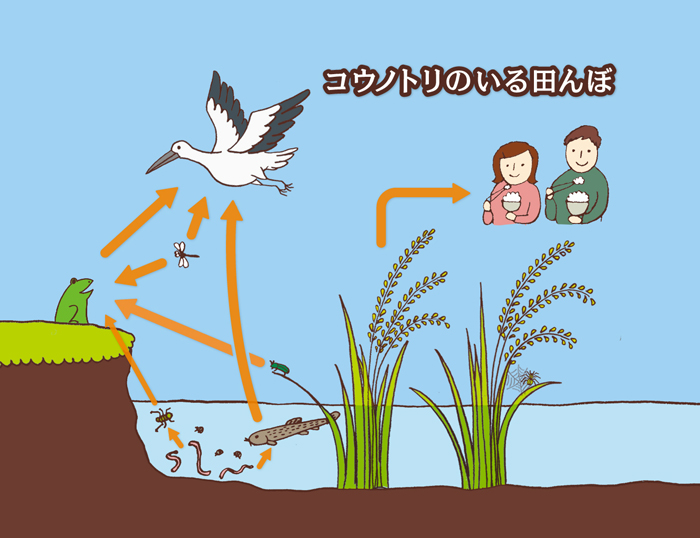 NHK環境教育のイラスト